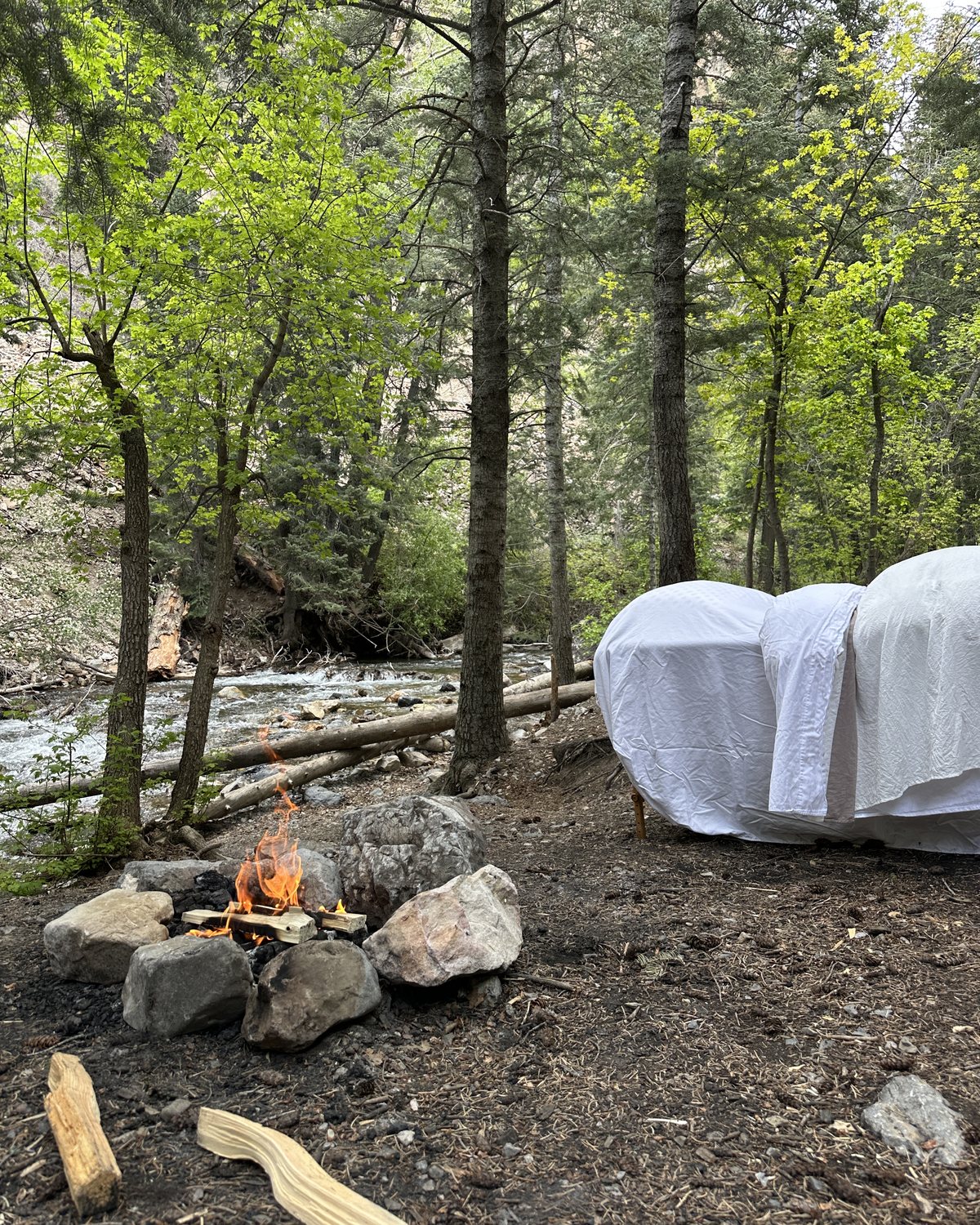 A small campfire ringed with stones near a rushing creek, a draped table among the trees
